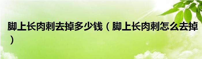 腳上長(zhǎng)肉刺去掉多少錢(qián)（腳上長(zhǎng)肉刺怎么去掉）