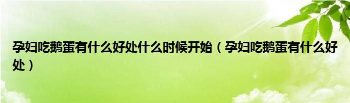 孕婦吃鵝蛋有什么好處什么時(shí)候開始（孕婦吃鵝蛋有什么好處）