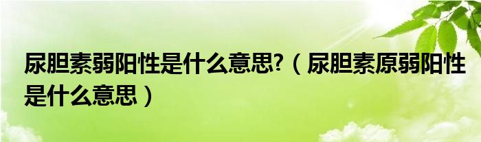 尿膽素弱陽(yáng)性是什么意思?（尿膽素原弱陽(yáng)性是什么意思）