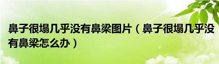 鼻子很塌幾乎沒有鼻梁圖片（鼻子很塌幾乎沒有鼻梁怎么辦）