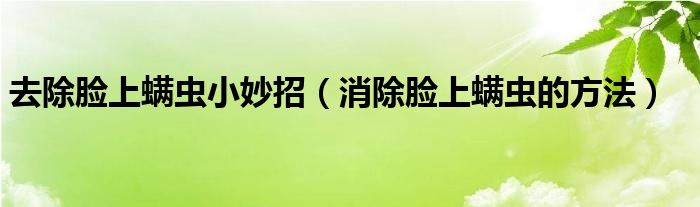 去除臉上螨蟲(chóng)小妙招（消除臉上螨蟲(chóng)的方法）