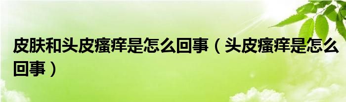 皮膚和頭皮瘙癢是怎么回事（頭皮瘙癢是怎么回事）