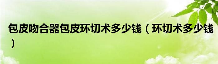 包皮吻合器包皮環(huán)切術(shù)多少錢（環(huán)切術(shù)多少錢）