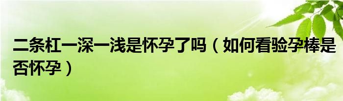 二條杠一深一淺是懷孕了嗎（如何看驗孕棒是否懷孕）