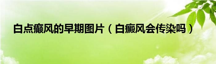 白點(diǎn)癲風(fēng)的早期圖片（白癜風(fēng)會(huì)傳染嗎）