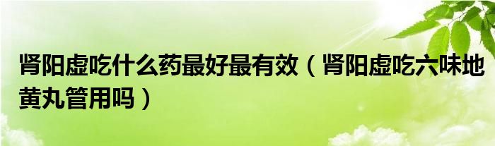 腎陽虛吃什么藥最好最有效（腎陽虛吃六味地黃丸管用嗎）