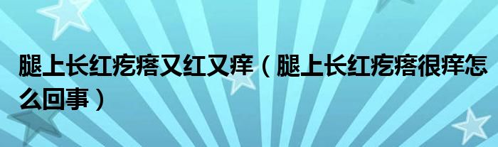 腿上長紅疙瘩又紅又癢（腿上長紅疙瘩很癢怎么回事）