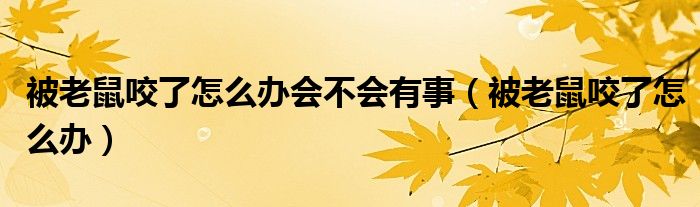 被老鼠咬了怎么辦會不會有事（被老鼠咬了怎么辦）