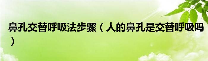 鼻孔交替呼吸法步驟（人的鼻孔是交替呼吸嗎）