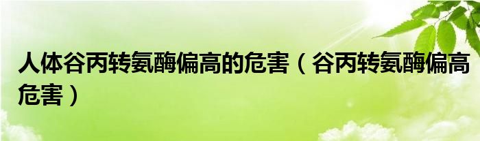 人體谷丙轉(zhuǎn)氨酶偏高的危害（谷丙轉(zhuǎn)氨酶偏高危害）