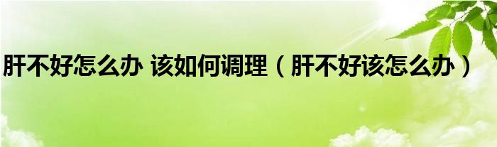 肝不好怎么辦 該如何調(diào)理（肝不好該怎么辦）