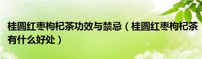 桂圓紅棗枸杞茶功效與禁忌（桂圓紅棗枸杞茶有什么好處）