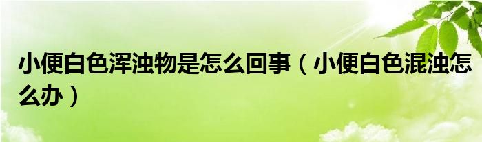 小便白色渾濁物是怎么回事（小便白色混濁怎么辦）