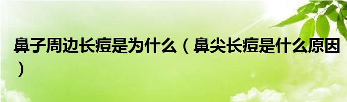 鼻子周邊長(zhǎng)痘是為什么（鼻尖長(zhǎng)痘是什么原因）