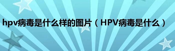 hpv病毒是什么樣的圖片（HPV病毒是什么）