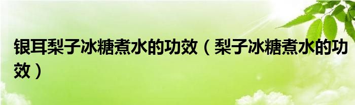 銀耳梨子冰糖煮水的功效（梨子冰糖煮水的功效）