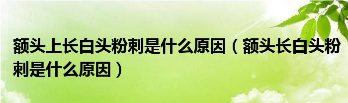 額頭上長白頭粉刺是什么原因（額頭長白頭粉刺是什么原因）