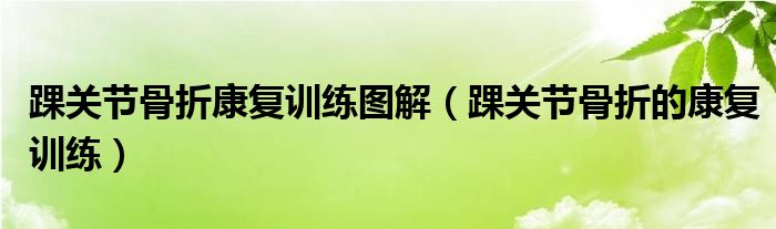 踝關(guān)節(jié)骨折康復(fù)訓練圖解（踝關(guān)節(jié)骨折的康復(fù)訓練）