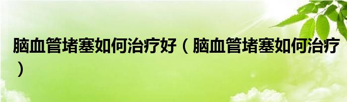 腦血管堵塞如何治療好（腦血管堵塞如何治療）