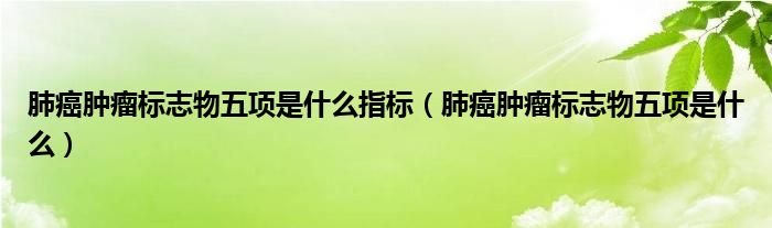 肺癌腫瘤標(biāo)志物五項(xiàng)是什么指標(biāo)（肺癌腫瘤標(biāo)志物五項(xiàng)是什么）