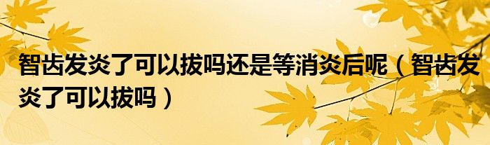 智齒發(fā)炎了可以拔嗎還是等消炎后呢（智齒發(fā)炎了可以拔嗎）