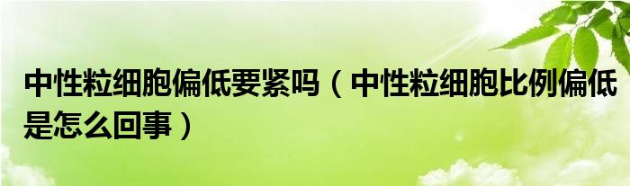 中性粒細胞偏低要緊嗎（中性粒細胞比例偏低是怎么回事）