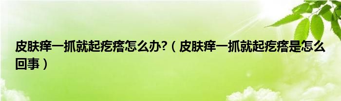 皮膚癢一抓就起疙瘩怎么辦?（皮膚癢一抓就起疙瘩是怎么回事）