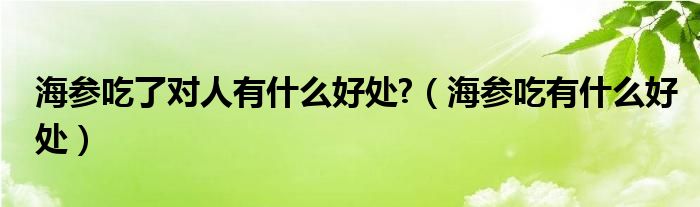 海參吃了對人有什么好處?（海參吃有什么好處）