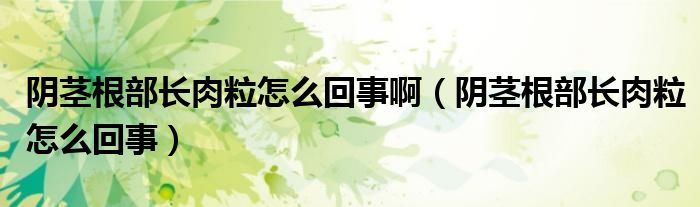 陰莖根部長肉粒怎么回事?。幥o根部長肉粒怎么回事）