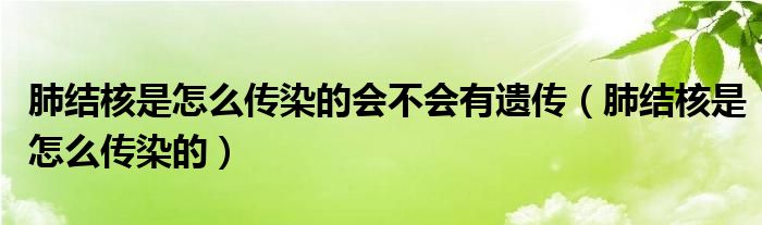 肺結(jié)核是怎么傳染的會(huì)不會(huì)有遺傳（肺結(jié)核是怎么傳染的）