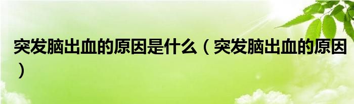 突發(fā)腦出血的原因是什么（突發(fā)腦出血的原因）