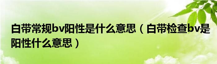 白帶常規(guī)bv陽性是什么意思（白帶檢查bv是陽性什么意思）