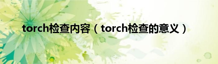 torch檢查內(nèi)容（torch檢查的意義）