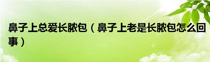 鼻子上總愛長(zhǎng)膿包（鼻子上老是長(zhǎng)膿包怎么回事）