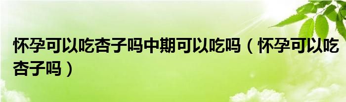 懷孕可以吃杏子嗎中期可以吃嗎（懷孕可以吃杏子嗎）