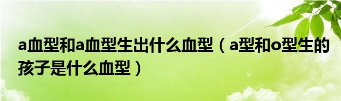 a血型和a血型生出什么血型（a型和o型生的孩子是什么血型）