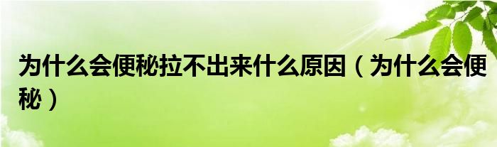 為什么會(huì)便秘拉不出來(lái)什么原因（為什么會(huì)便秘）