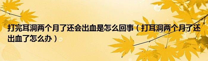 打完耳洞兩個月了還會出血是怎么回事（打耳洞兩個月了還出血了怎么辦）