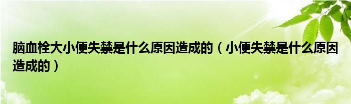 腦血栓大小便失禁是什么原因造成的（小便失禁是什么原因造成的）