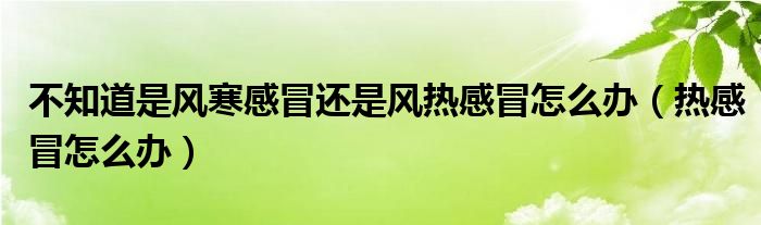 不知道是風(fēng)寒感冒還是風(fēng)熱感冒怎么辦（熱感冒怎么辦）