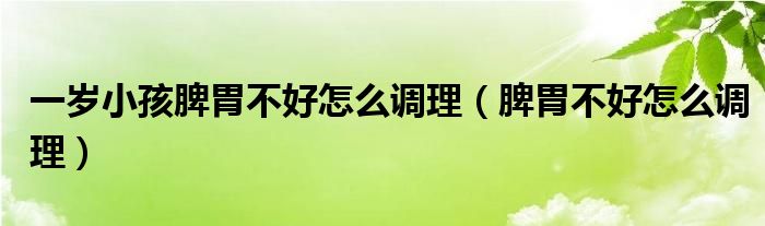 一歲小孩脾胃不好怎么調理（脾胃不好怎么調理）