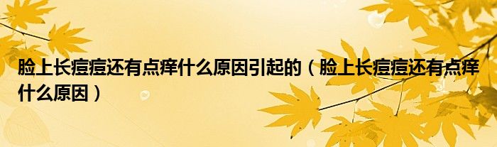 臉上長痘痘還有點癢什么原因引起的（臉上長痘痘還有點癢什么原因）