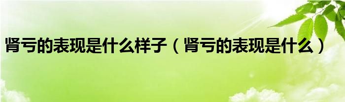 腎虧的表現(xiàn)是什么樣子（腎虧的表現(xiàn)是什么）