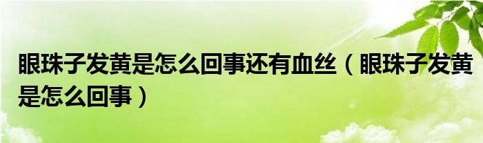 眼珠子發(fā)黃是怎么回事還有血絲（眼珠子發(fā)黃是怎么回事）