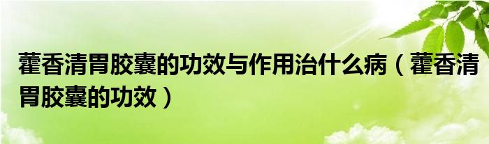 藿香清胃膠囊的功效與作用治什么?。ㄞ较闱逦改z囊的功效）