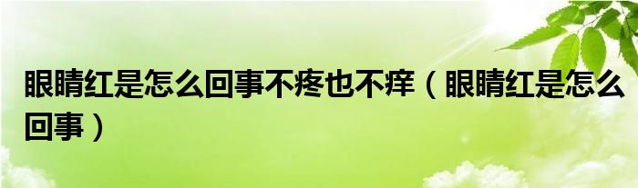 眼睛紅是怎么回事不疼也不癢（眼睛紅是怎么回事）