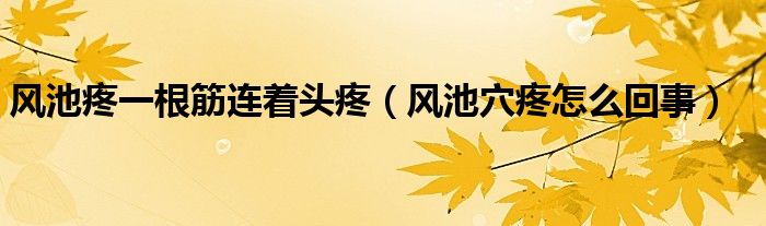 風池疼一根筋連著頭疼（風池穴疼怎么回事）