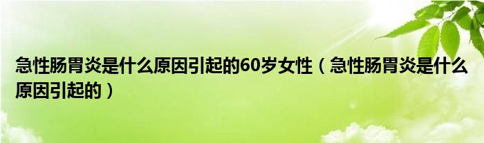 急性腸胃炎是什么原因引起的60歲女性（急性腸胃炎是什么原因引起的）