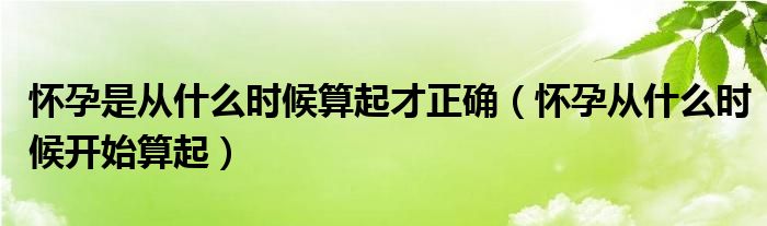 懷孕是從什么時(shí)候算起才正確（懷孕從什么時(shí)候開始算起）