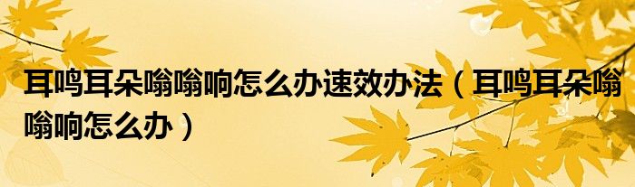 耳鳴耳朵嗡嗡響怎么辦速效辦法（耳鳴耳朵嗡嗡響怎么辦）